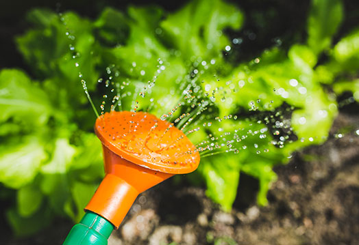 This is an Example of a Full Width Blog Post